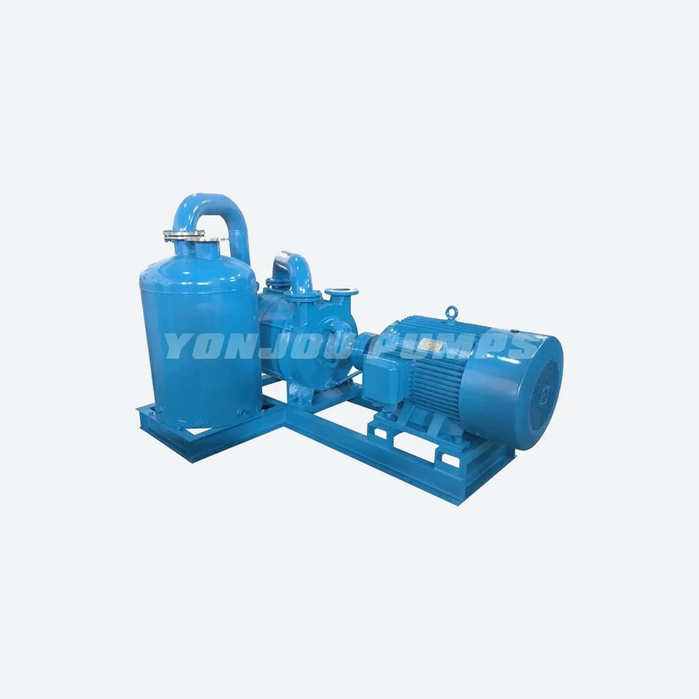 Pompă de vid cu inel de apă în două etape cu separator 2BV03